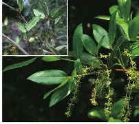 睐睇眚睐睇眚傻遭眦璨iuytuy-爱游戏平台